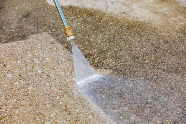 Animal Enclosure Cleaning in Millersburg, OH